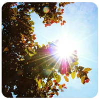 三角洲卡盟的“内在动机辅助社会学习”