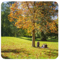 
低价卡盟全场秒发平台保障稳定充值渠道