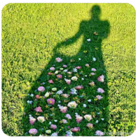 
脉动卡盟-高效代购 安全支付