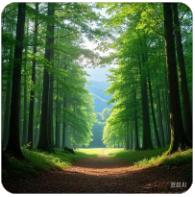 三角洲卡盟的“分层注意力结合课程生成”