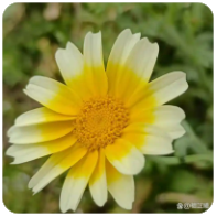 绝地求生卡盟箭袋：增加十字弩载弹量道具指南