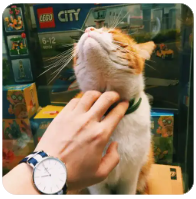 游戏内魔法吟唱的打断施法惩罚