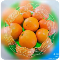 技术拜物教的仪式性维护：更新三角洲卡盟