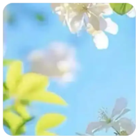 三角洲卡盟积分商城超值道具兑换技巧