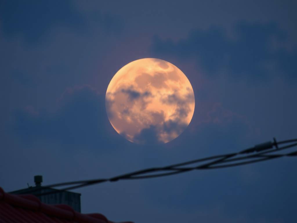 绝地求生卡盟消费排行：月度消费榜享专属福利